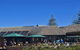 The Beach Hotel - thumb 1