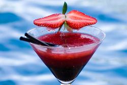 Blue Mango Wine Bar - Tourism Cairns 1