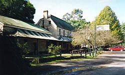 Settlers Arms Inn - Tourism Cairns 2