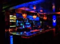 Iguana Bar - Tourism Cairns 2