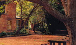 Settlers Arms Inn - Tourism Cairns 3