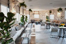 Beach Haus - Tourism Cairns 3