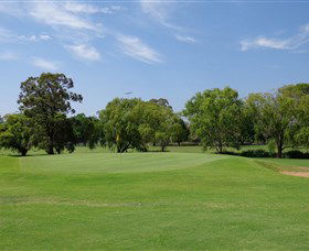 Singleton Golf Club - Tourism Cairns 1