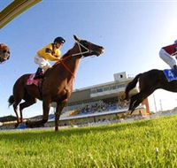 Wyong Race Club - Tourism Cairns