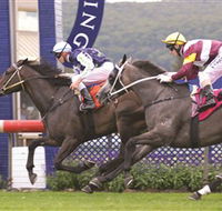 Gosford Race Club - Tourism Cairns