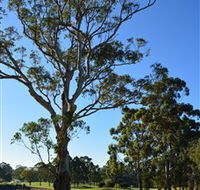 Ryde-Parramatta Golf Club - Tourism Cairns