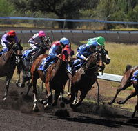 Alice Springs Turf Club - Tourism Cairns
