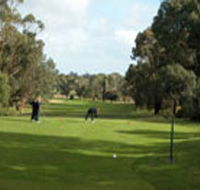 Mount Gambier Golf Club - Tourism Cairns
