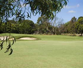 Curlewis Golf Club - Tourism Cairns 0