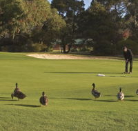 Royal Hobart Golf Club - Tourism Cairns