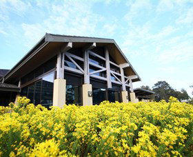 Vintage Golf Club - Tourism Cairns 2