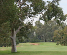 Tocumwal Golf Club - Tourism Cairns 2