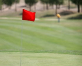 Canberra ACT Tourism Cairns