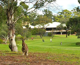 Merimbula NSW Tourism Cairns