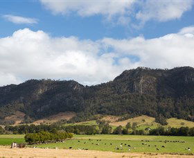 Berrico NSW Tourism Cairns