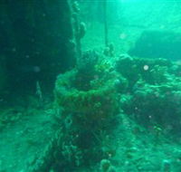 Wallaroo Scuba Club - Tourism Cairns