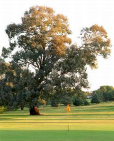 Wattamondara NSW Tourism Cairns