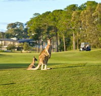 Sanctuary Cove Golf and Country Club - Tourism Cairns
