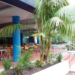Club Forster - Tourism Cairns 0