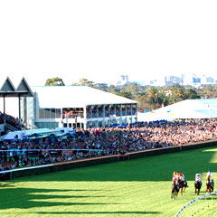 South Australian Jockey Club - Tourism Cairns 0