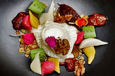 South Yarra VIC Tourism Cairns