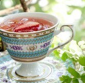 Gin Garden - Tourism Cairns 0