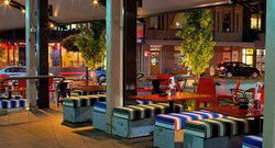 Bedlam Bar And Food - Tourism Cairns 2
