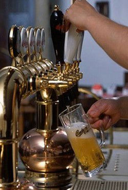 Doma Bohemian Beer Cafe - Tourism Cairns 2
