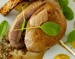 Blu Bar On 36 - Tourism Cairns 3