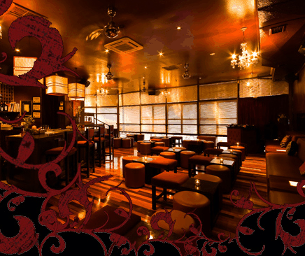 Hippo Lounge Bar - Tourism Cairns