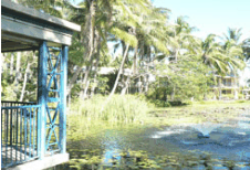 Bushland Tavern - Tourism Cairns 2