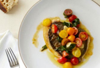 Uccello - Tourism Cairns 1