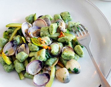 Uccello - Tourism Cairns 4