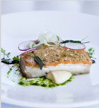 PJ's Irish Sports Bar & Bistro @ The Criterion Hotel - Tourism Cairns 0