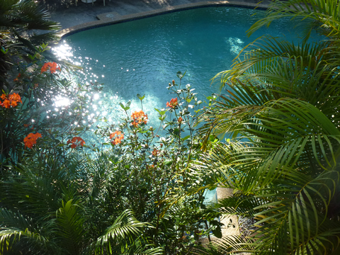 Avoca Beach Hotel - Tourism Cairns 1
