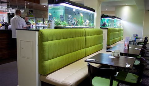 Carriers Arms Hotel Motel - Tourism Cairns 2