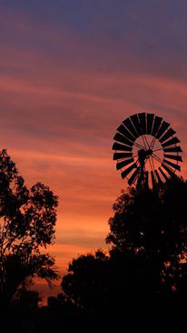 Emerald Springs Roadhouse - Tourism Cairns 5
