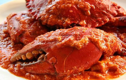 Sambal - Tourism Cairns 4