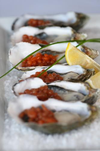 Tha Fish - Tourism Cairns 1