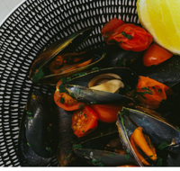 The Italian Diner - Tourism Cairns