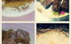 The Old Tea House - thumb 1