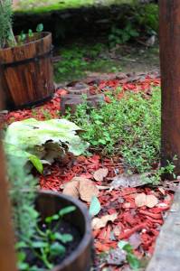 Herveys Range Heritage Tea Rooms - Tourism Cairns 1