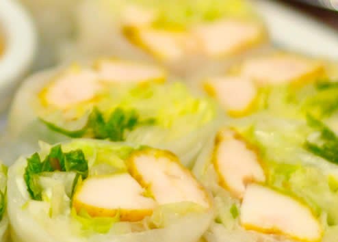 North Parramatta NSW Tourism Cairns