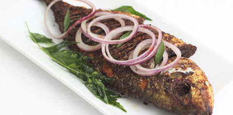 Blue Moon Restaurant - Tourism Cairns 2