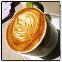 Department Of Coffee - Tourism Cairns 4