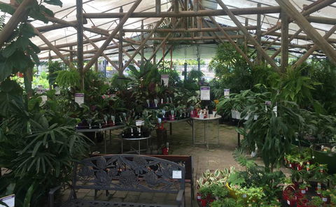 Limberlost Nursery & Garden Centre - Tourism Cairns 1