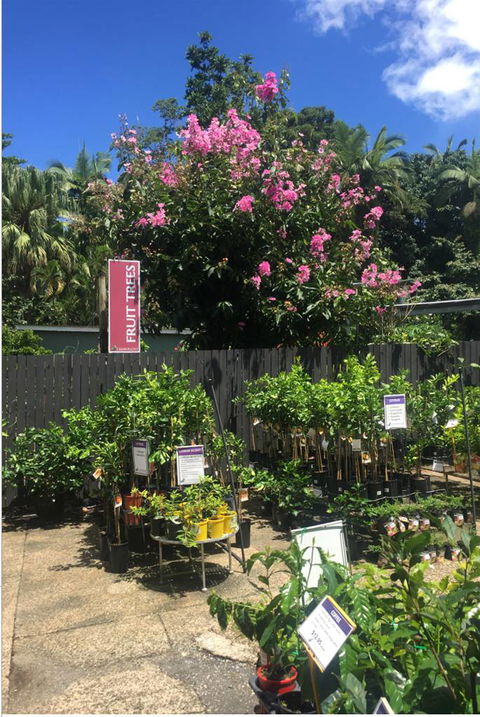 Limberlost Nursery & Garden Centre - Tourism Cairns 3