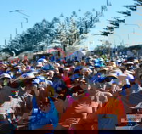 7 Sunshine Coast Marathon - Tourism Cairns
