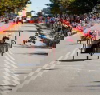 Australian Billy Cart Championships - Tourism Cairns
