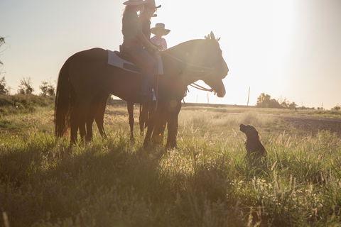 Balonne Cutting Horse Futurity - Tourism Cairns 0